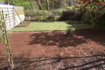Grass Care - New lawn laid in Peter Tavy