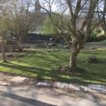 Grass Care - New lawn laid in Peter Tavy
